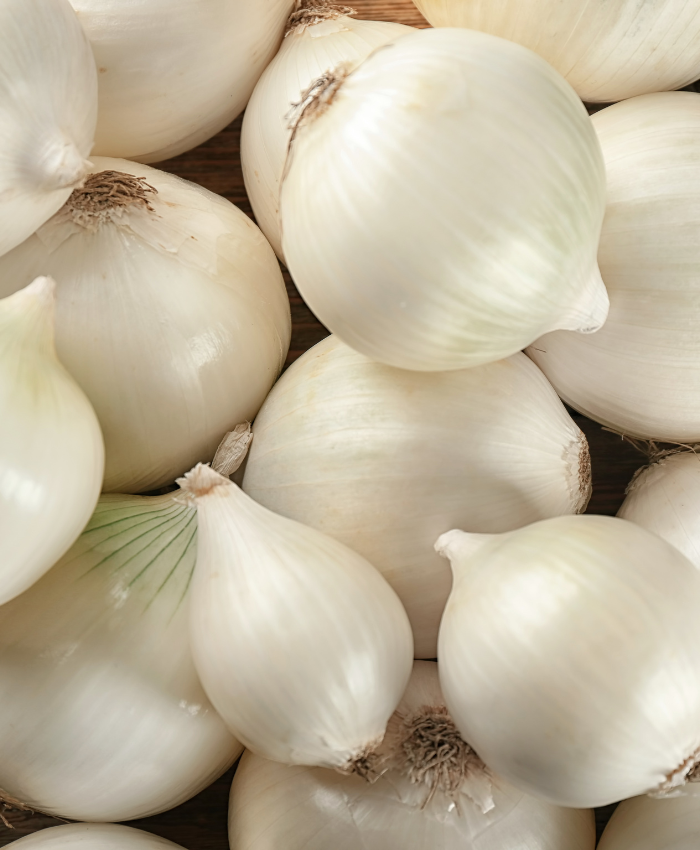 WHITE ONION
